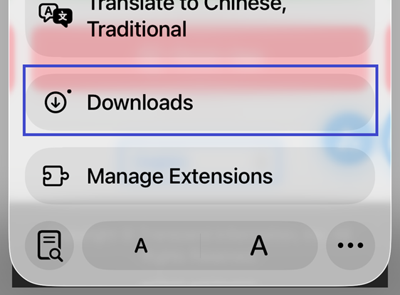 Download Confirmation Screenshot