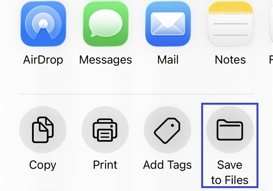 Download Confirmation Screenshot